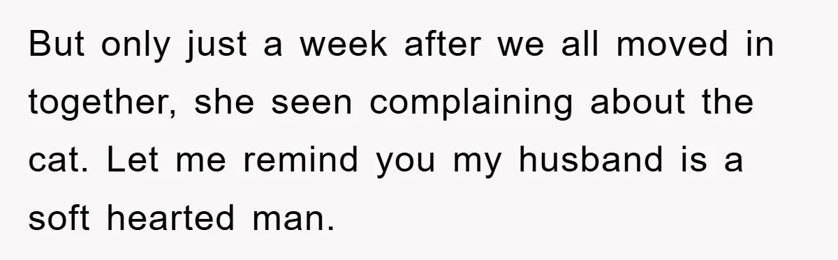 But only just a week after we all moved in together, she seen complaining about the cat. Let me remind you my husband is a soft hearted man.