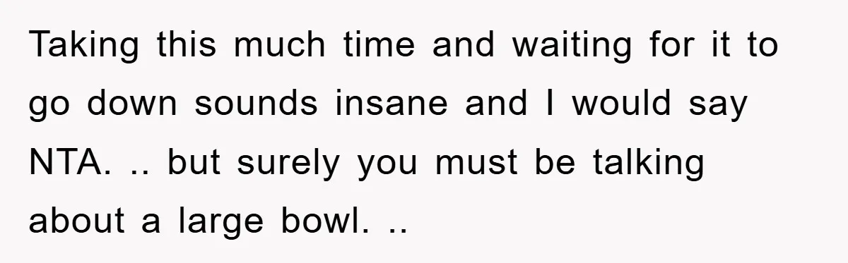 Taking this much time and waiting for it to go down sounds insane and I would say NTA. .. but surely you must be talking about a large bowl. ..