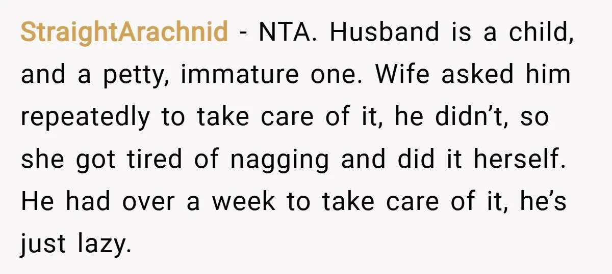 StraightArachnid − NTA. Husband is a child, and a petty, immature one. Wife asked him repeatedly to take care of it, he didn’t, so she got tired of nagging and...
