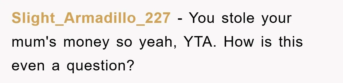Slight_Armadillo_227 − You stole your mum's money so yeah, YTA. How is this even a question?