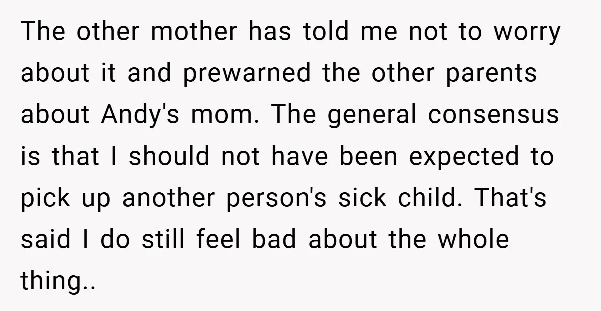 The other mother has told me not to worry about it and prewarned the other parents about Andy's mom. The general consensus is that I should not have been expected...