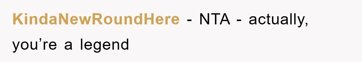 KindaNewRoundHere − NTA - actually, you’re a legend