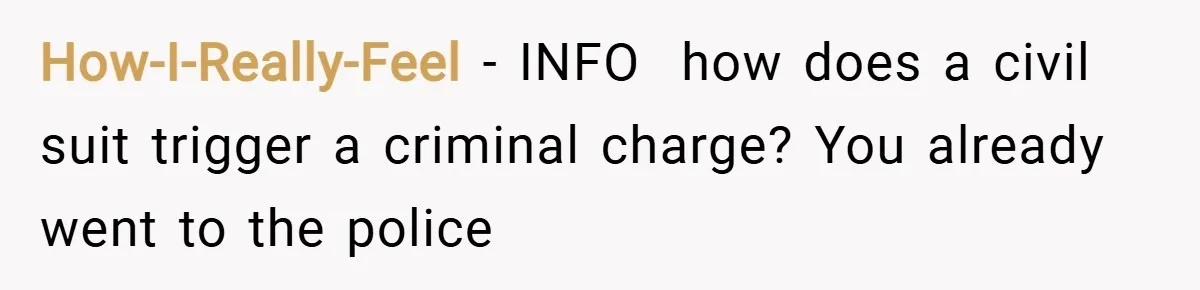 How-I-Really-Feel − INFO  how does a civil suit trigger a criminal charge? You already went to the police
