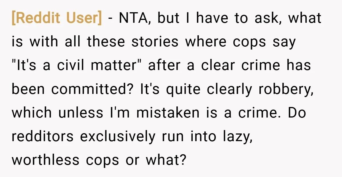 [Reddit User] − NTA, but I have to ask, what is with all these stories where cops say "It's a civil matter" after a clear crime has been committed? It's...