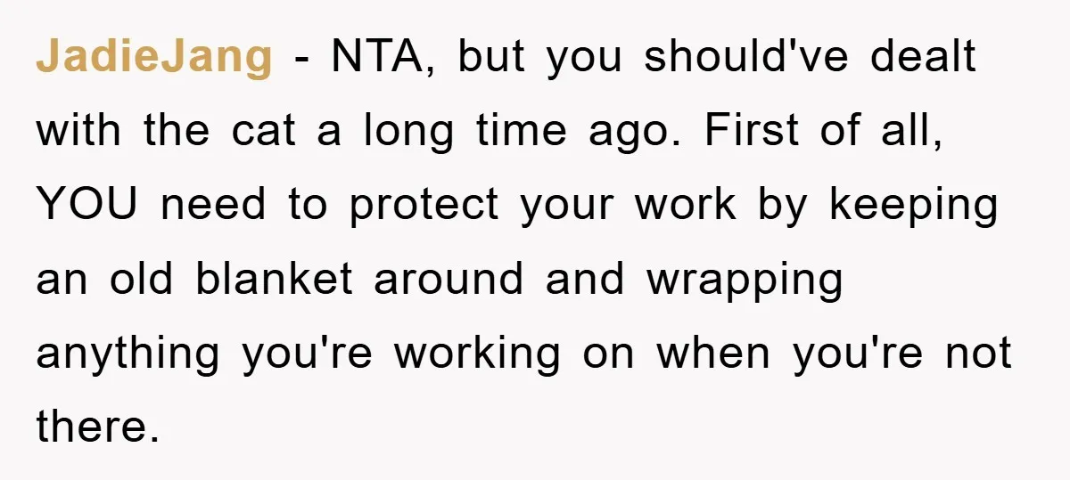 JadieJang − NTA, but you should've dealt with the cat a long time ago. First of all, YOU need to protect your work by keeping an old blanket around and...