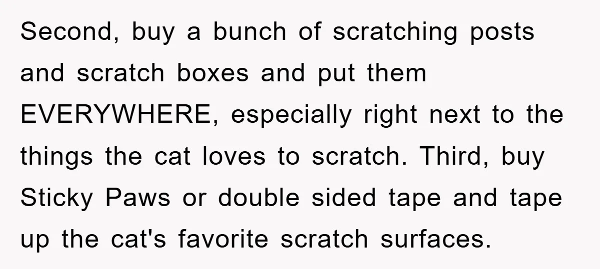Second, buy a bunch of scratching posts and scratch boxes and put them EVERYWHERE, especially right next to the things the cat loves to scratch. Third, buy Sticky Paws or...