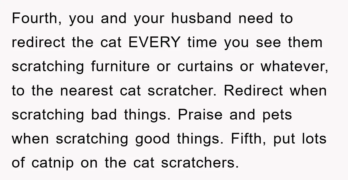 Fourth, you and your husband need to redirect the cat EVERY time you see them scratching furniture or curtains or whatever, to the nearest cat scratcher. Redirect when scratching bad...