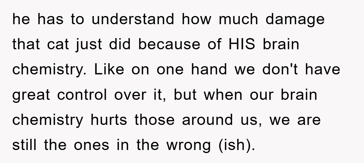 he has to understand how much damage that cat just did because of HIS brain chemistry. Like on one hand we don't have great control over it, but when our...