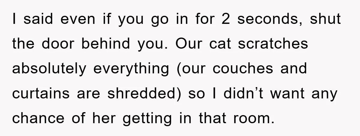 I said even if you go in for 2 seconds, shut the door behind you. Our cat scratches absolutely everything (our couches and curtains are shredded) so I didn’t want...