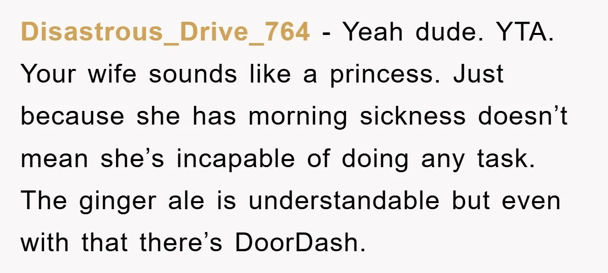 Disastrous_Drive_764 - Yeah dude. YTA. Your wife sounds like a princess. Just because she has morning sickness doesn’t mean she’s incapable of doing any task. The ginger ale is understandable...