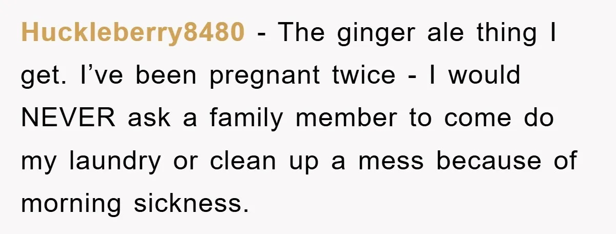 Huckleberry8480 - The ginger ale thing I get. I’ve been pregnant twice - I would NEVER ask a family member to come do my laundry or clean up a mess...
