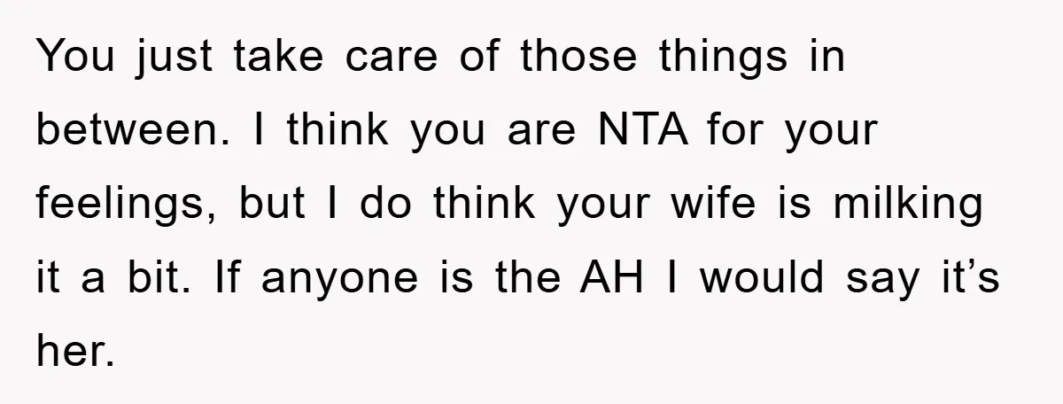 You just take care of those things in between. I think you are NTA for your feelings, but I do think your wife is milking it a bit. If anyone...