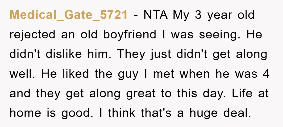 Medical_Gate_5721 - NTA My 3 year old rejected an old boyfriend I was seeing. He didn't dislike him. They just didn't get along well. He liked the guy I met...