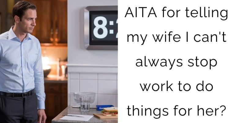 AITA for telling my wife I can’t always stop work to do things for her?