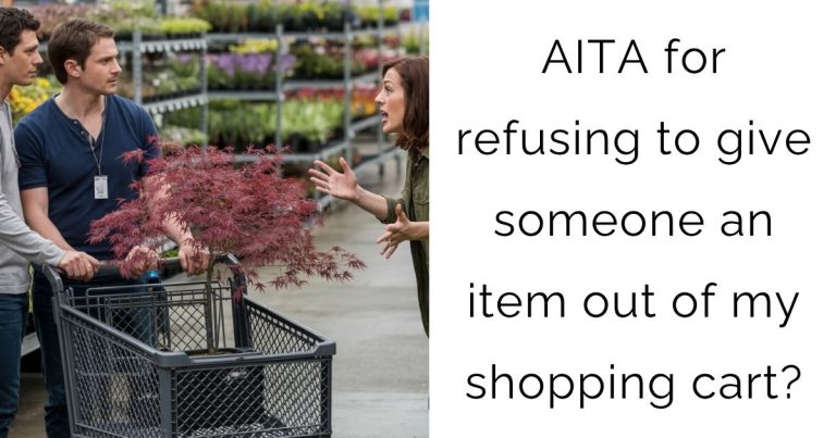 AITA for refusing to give someone an item out of my shopping cart?