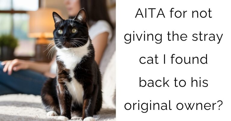 AITA for not giving the stray cat I found back to his original owner?