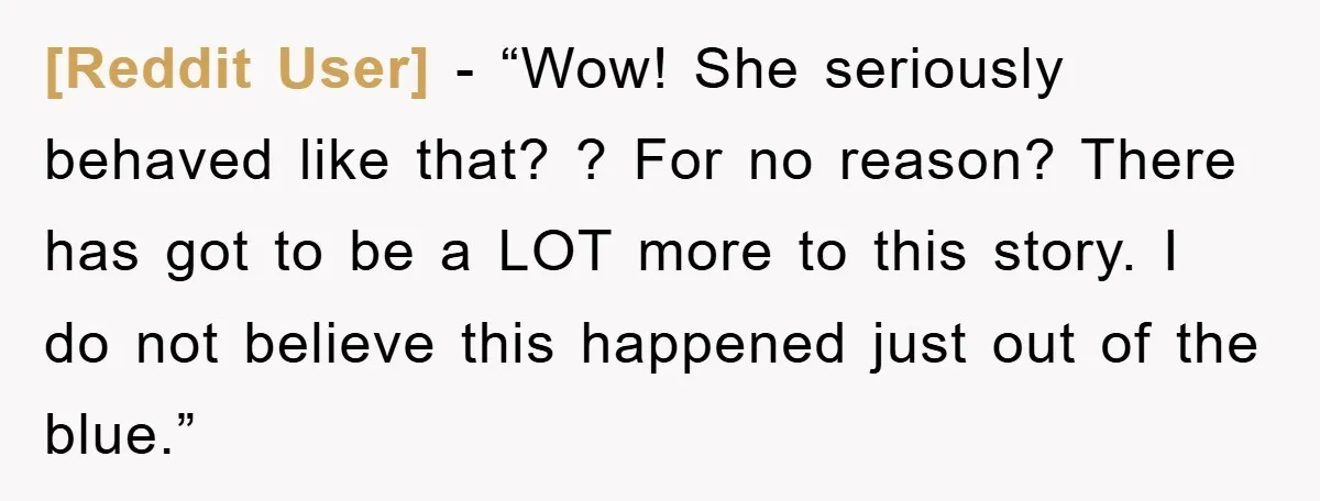 [Reddit User] - “Wow! She seriously behaved like that? ? For no reason? There has got to be a LOT more to this story. I do not believe this happened...