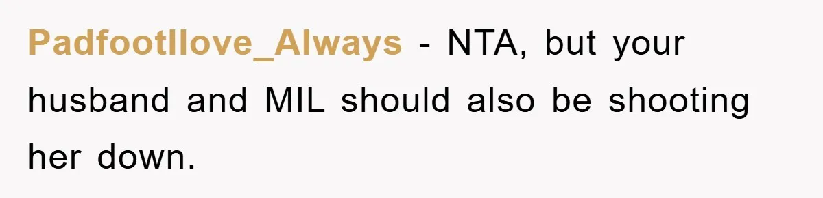 Padfootllove_Always − NTA, but your husband and MIL should also be shooting her down.