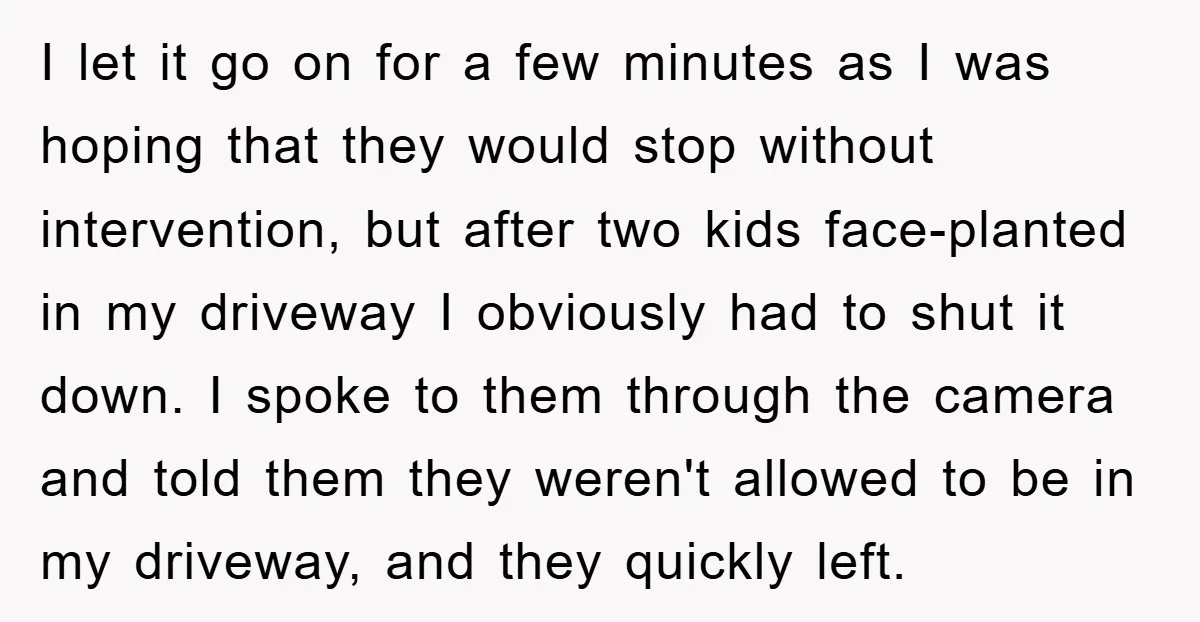I let it go on for a few minutes as I was hoping that they would stop without intervention, but after two kids face-planted in my driveway I obviously had...