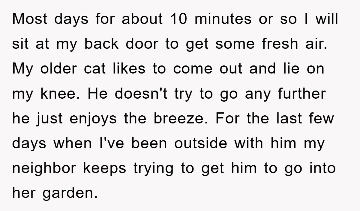 Most days for about 10 minutes or so I will sit at my back door to get some fresh air. My older cat likes to come out and lie on...