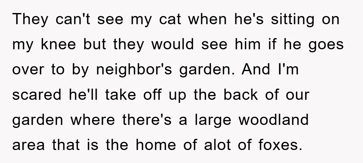 They can't see my cat when he's sitting on my knee but they would see him if he goes over to by neighbor's garden. And I'm scared he'll take off...