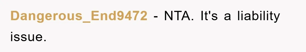 Dangerous_End9472 − NTA. It's a liability issue.