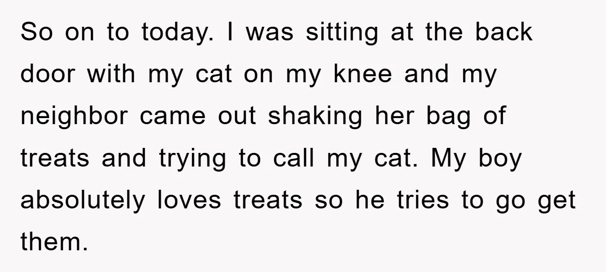 So on to today. I was sitting at the back door with my cat on my knee and my neighbor came out shaking her bag of treats and trying to...