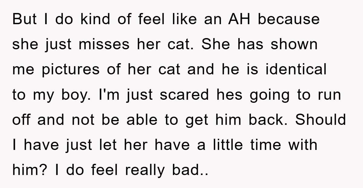 But I do kind of feel like an AH because she just misses her cat. She has shown me pictures of her cat and he is identical to my boy....