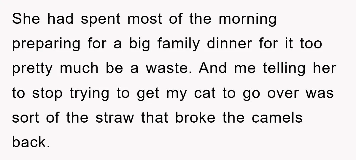 She had spent most of the morning preparing for a big family dinner for it too pretty much be a waste. And me telling her to stop trying to get...