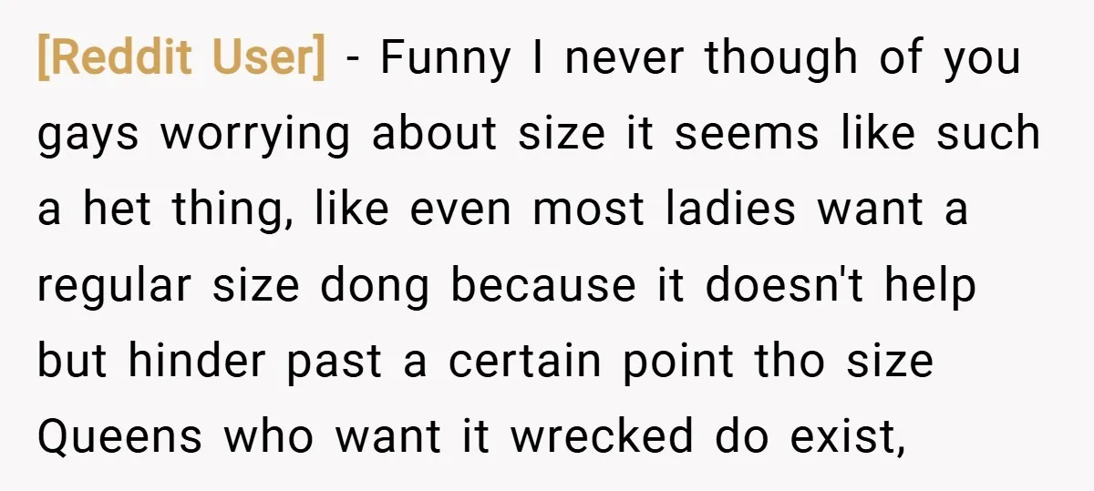 [Reddit User] − Funny I never though of you gays worrying about size it seems like such a het thing, like even most ladies want a regular size dong because...