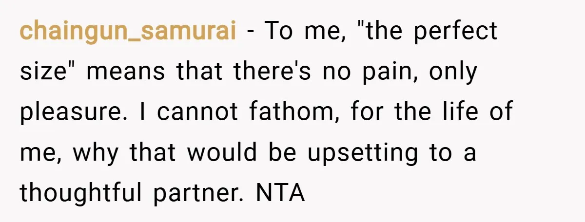 chaingun_samurai − To me, "the perfect size" means that there's no pain, only pleasure. I cannot fathom, for the life of me, why that would be upsetting to a thoughtful...