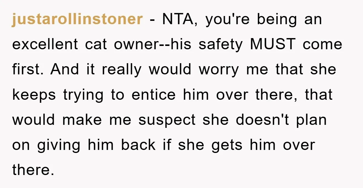 justarollinstoner − NTA, you're being an excellent cat owner--his safety MUST come first. And it really would worry me that she keeps trying to entice him over there, that would...