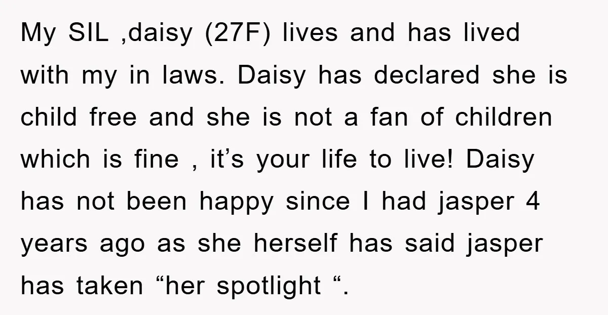 My SIL ,daisy (27F) lives and has lived with my in laws. Daisy has declared she is child free and she is not a fan of children which is fine...
