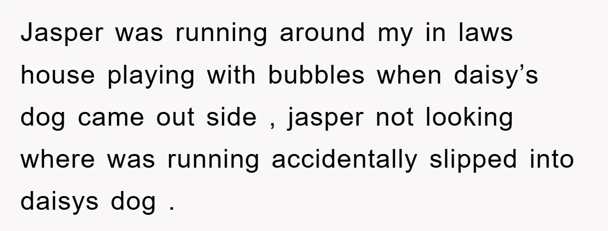 Jasper was running around my in laws house playing with bubbles when daisy’s dog came out side , jasper not looking where was running accidentally slipped into daisys dog .