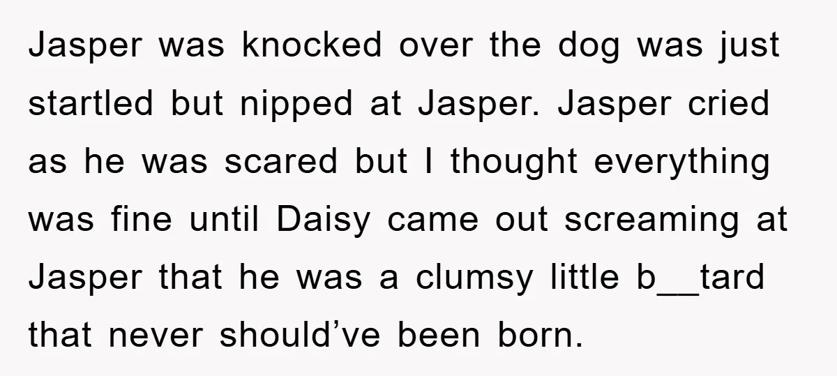 Jasper was knocked over the dog was just startled but nipped at Jasper. Jasper cried as he was scared but I thought everything was fine until Daisy came out screaming...