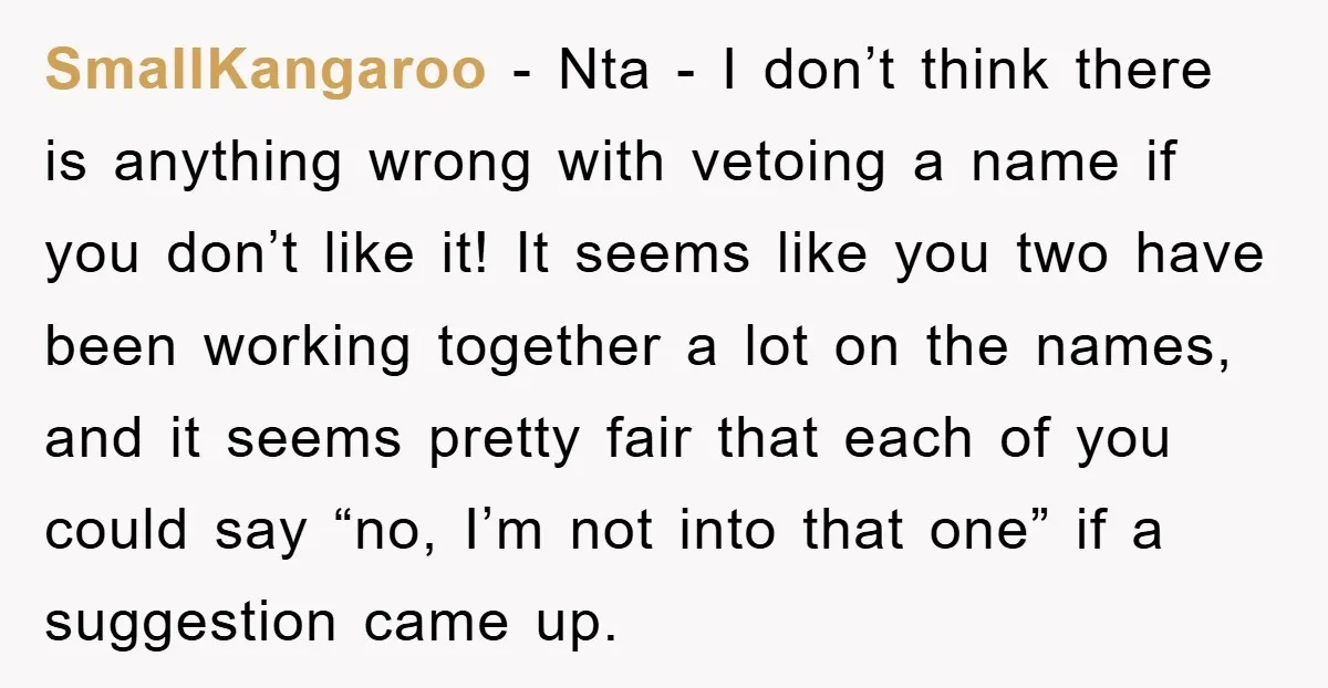 SmallKangaroo − Nta - I don’t think there is anything wrong with vetoing a name if you don’t like it! It seems like you two have been working together a...