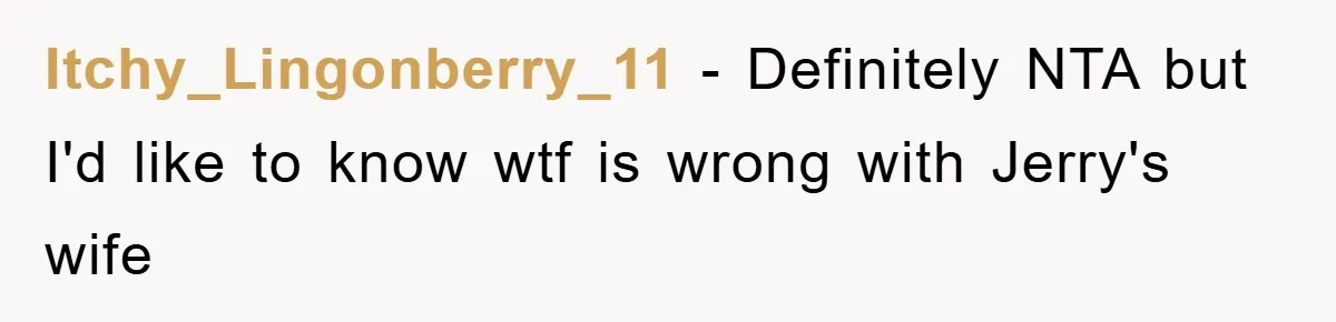 Itchy_Lingonberry_11 − Definitely NTA but I'd like to know wtf is wrong with Jerry's wife