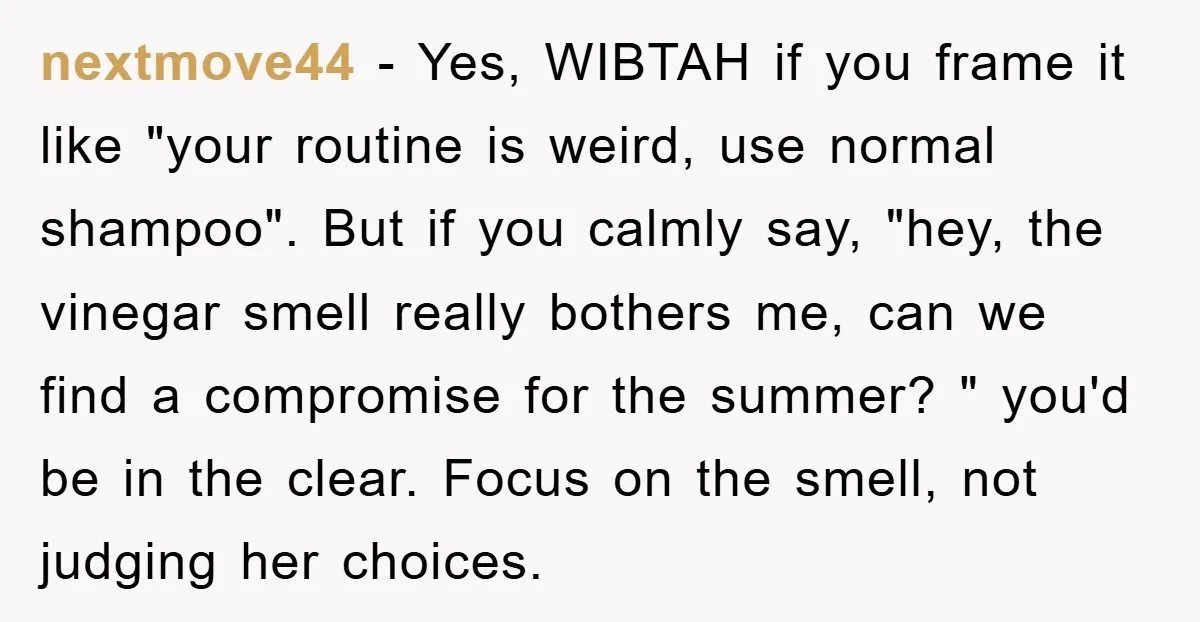 nextmove44 − Yes, WIBTAH if you frame it like "your routine is weird, use normal shampoo". But if you calmly say, "hey, the vinegar smell really bothers me, can we...