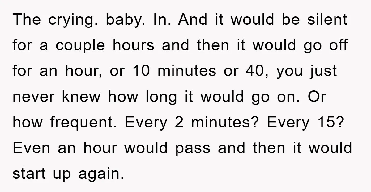 The crying. baby. In. And it would be silent for a couple hours and then it would go off for an hour, or 10 minutes or 40, you just never...