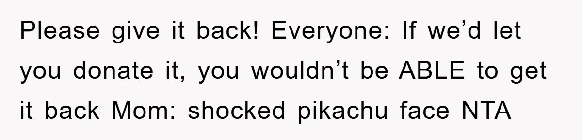 Please give it back! Everyone: If we’d let you donate it, you wouldn’t be ABLE to get it back Mom: shocked pikachu face NTA