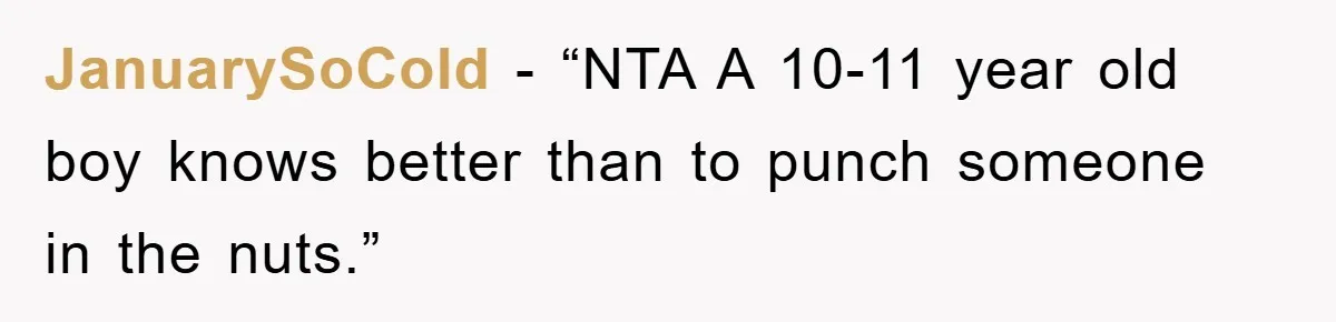 JanuarySoCold - “NTA A 10-11 year old boy knows better than to punch someone in the nuts.”