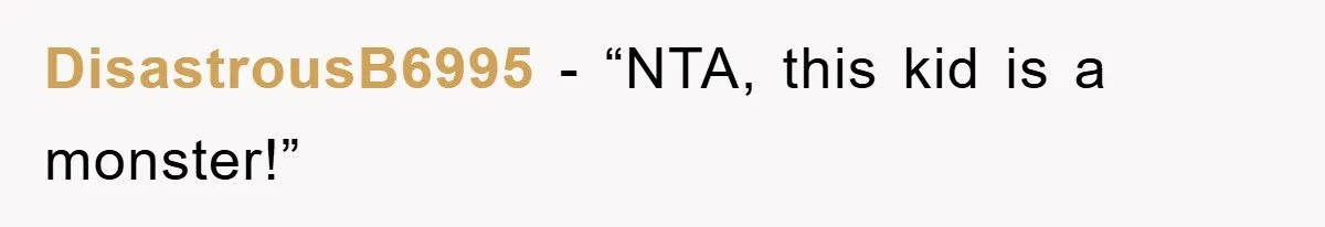 DisastrousB6995 - “NTA, this kid is a monster!”