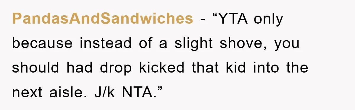 PandasAndSandwiches - “YTA only because instead of a slight shove, you should had drop kicked that kid into the next aisle. J/k NTA.”