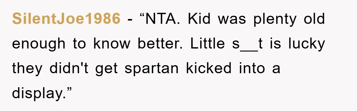 SilentJoe1986 - “NTA. Kid was plenty old enough to know better. Little s__t is lucky they didn't get spartan kicked into a display.”