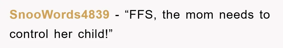 SnooWords4839 - “FFS, the mom needs to control her child!”