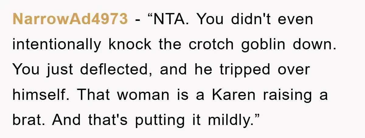 NarrowAd4973 - “NTA. You didn't even intentionally knock the crotch goblin down. You just deflected, and he tripped over himself. That woman is a Karen raising a brat. And that's...