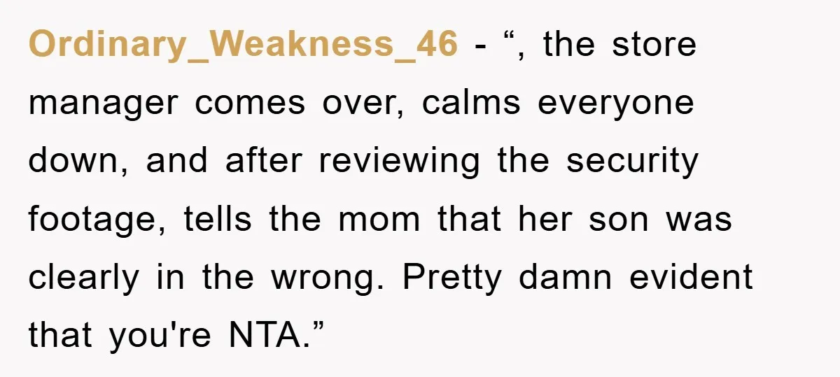 Ordinary_Weakness_46 - “, the store manager comes over, calms everyone down, and after reviewing the security footage, tells the mom that her son was clearly in the wrong. Pretty damn...