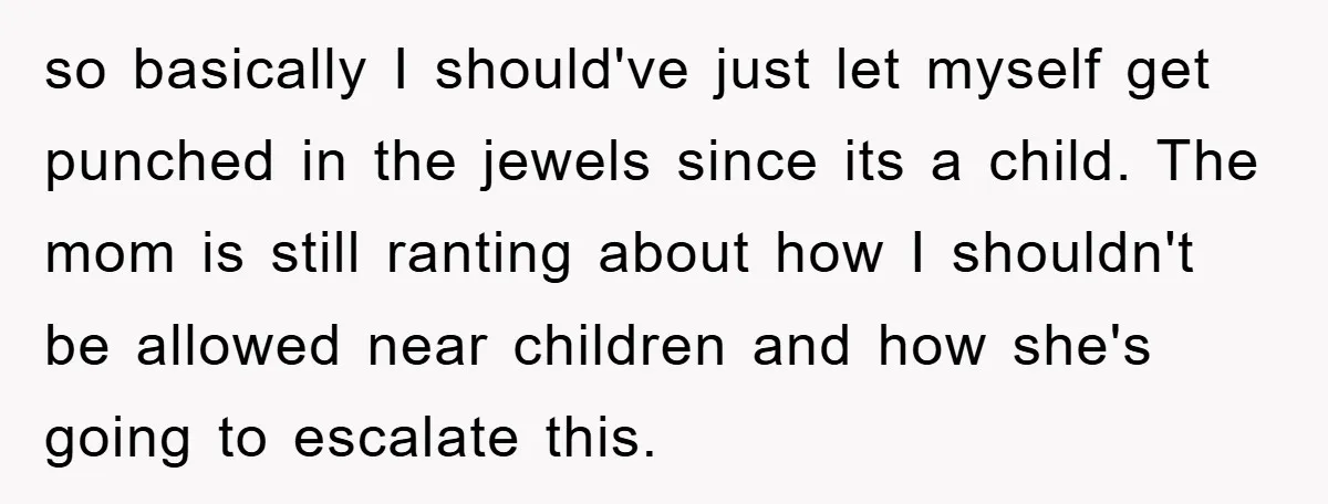 so basically I should've just let myself get punched in the jewels since its a child. The mom is still ranting about how I shouldn't be allowed near children and...