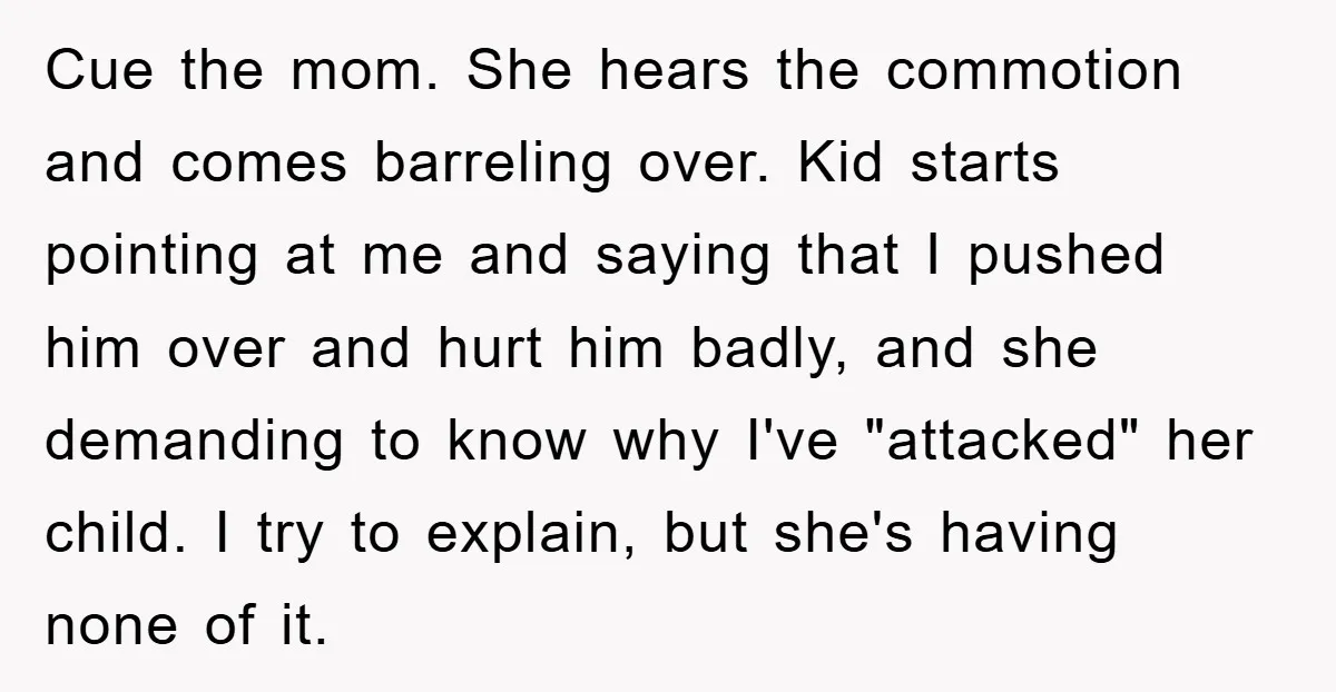 Cue the mom. She hears the commotion and comes barreling over. Kid starts pointing at me and saying that I pushed him over and hurt him badly, and she demanding...