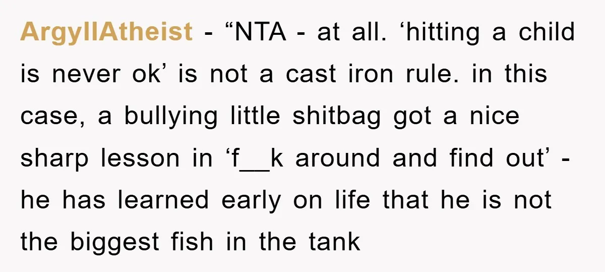 ArgyllAtheist - “NTA - at all. ‘hitting a child is never ok’ is not a cast iron rule. in this case, a bullying little shitbag got a nice sharp lesson...